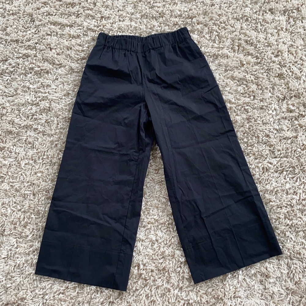 Everlane Cropped Easy Pants